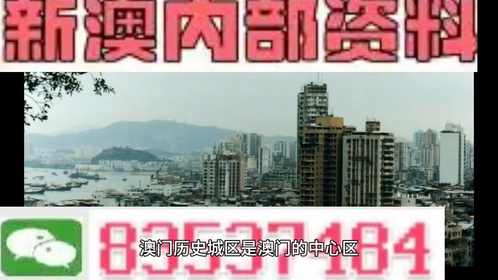 2025年新澳门天天免费精准大全,详细解答、解释与落实与警惕虚假宣传