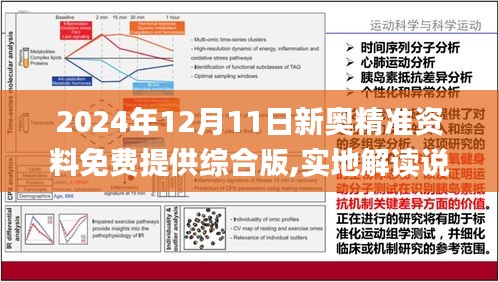 2025精准资料免费大全.全面释义、解释与落实