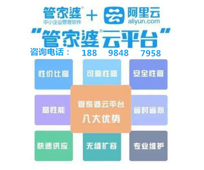 澳门管家婆100%精准，全面释义、解释与落实