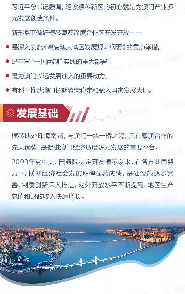 新澳门2025年正版免费公开,精选解析、落实与策略